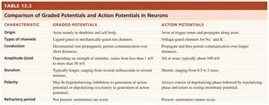 Comparison table of graded and action potentials