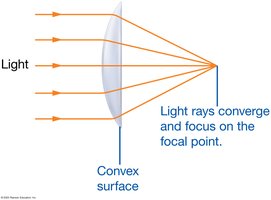 Refraction by a convex lens