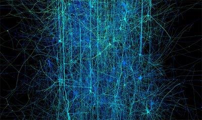 Blue Brain Project neural network visualization