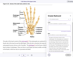 Bones of the right hand, anterior view