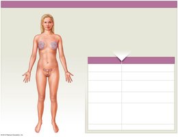 Female reproductive system components