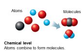 Atoms combine to form molecules