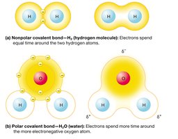 Diagram of nonpolar and polar covalent bonds