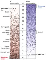 pH scale with examples of substances