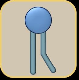 Phospholipid bilayer with hydrophilic heads and hydrophobic tails