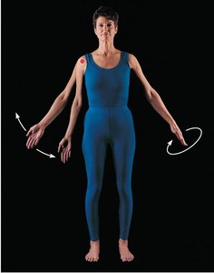 Abduction, adduction, and circumduction of the upper limb