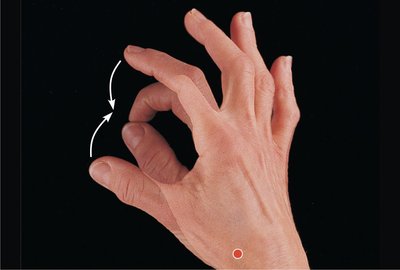 Opposition of the thumb