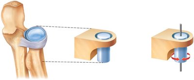 Pivot joint rotation