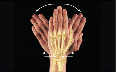 Gliding movements at the wrist
