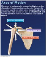 Axes of motion