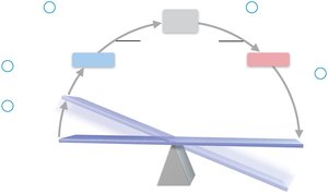 Diagram of a negative feedback loop