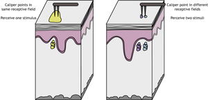 Receptive field size illustration