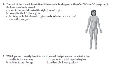 Body diagram for marking wound locations