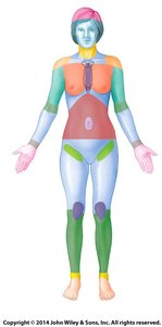 Anatomical regions of the body