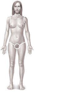Rule of nines diagram for burn assessment