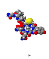 Peptide hormone structure