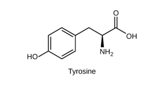 Tyrosine structure