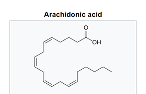 Arachidonic acid structure