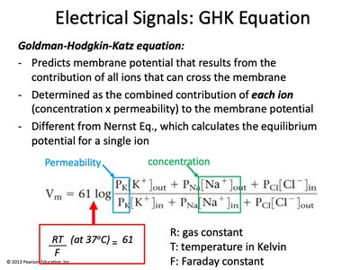 GHK equation and explanation