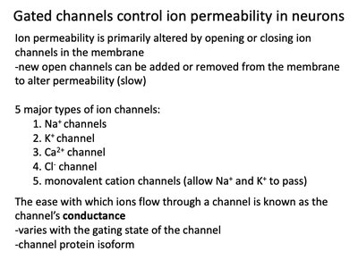 Ion channel types and conductance