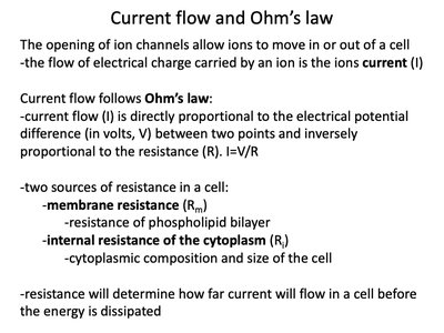 Ohm's law and resistance in neurons