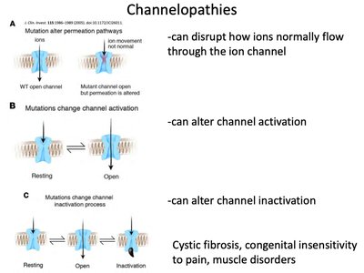 Channelopathies and their effects on ion channels
