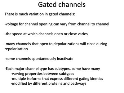Variation in gated channel properties