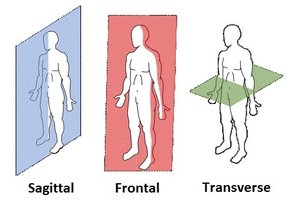 Sagittal, Frontal, and Transverse planes