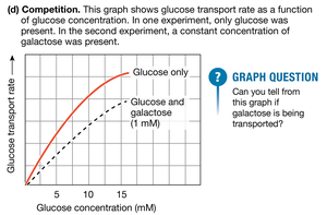 Competition in transport proteins