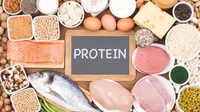 Sources of protein