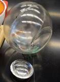 Model showing the lens and vitreous body