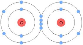Oxygen molecule (O2)