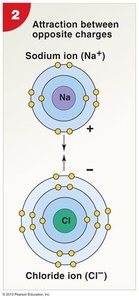 Attraction between sodium and chloride ions