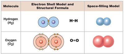 Single and double covalent bonds