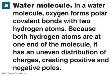 Water molecule description