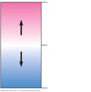 pH scale diagram