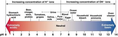 pH scale with examples