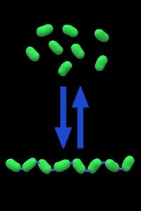 Table of monomers and polymers
