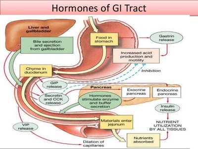 Hormones of GI Tract diagram