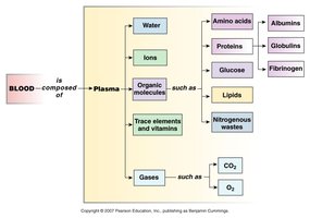 Blood plasma composition diagram