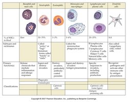 Immune cell types comparison table