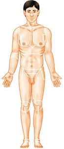 Anatomical position