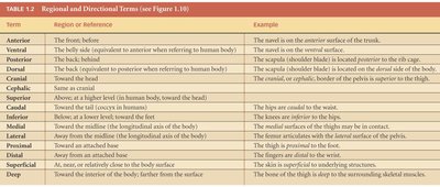 Directional terms
