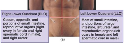 Abdominal quadrants