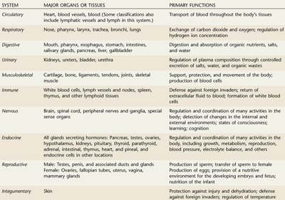 Table of organ systems and functions