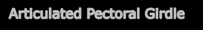 Articulated Pectoral Girdle