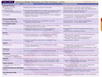 Table of endocrine glands, hormones, and their functions (part 2)