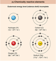 Chemically reactive elements