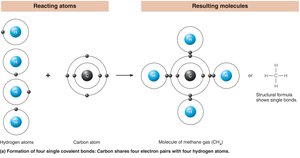 Formation of covalent bonds (single)