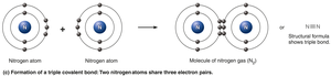 Formation of covalent bonds (triple)